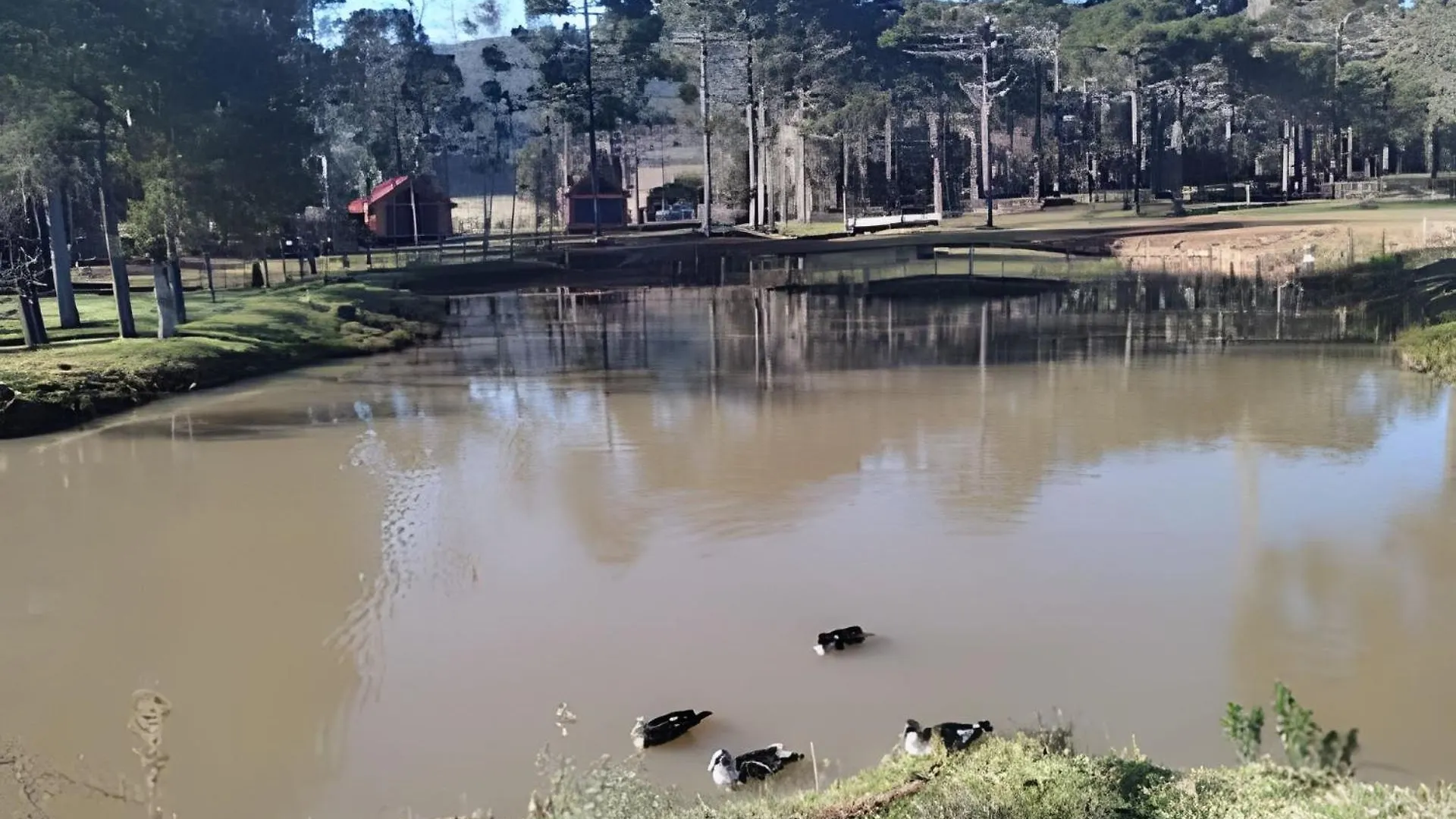 Cabana Pequeno Bosque Com Deck E Vista P/ O Rio São Joaquim Casa de Férias
