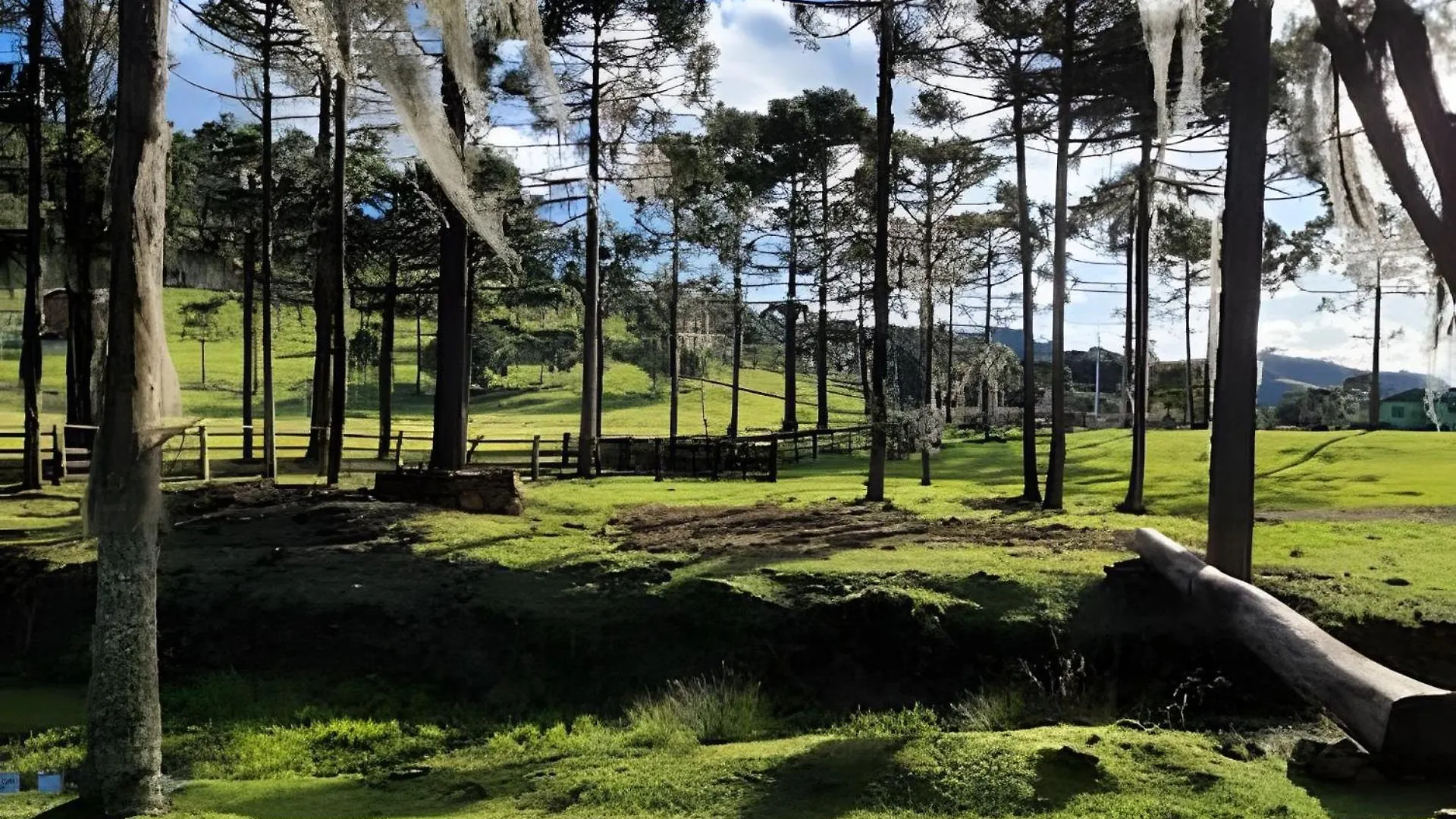 Cabana Pequeno Bosque Com Deck E Vista P/ O Rio São Joaquim