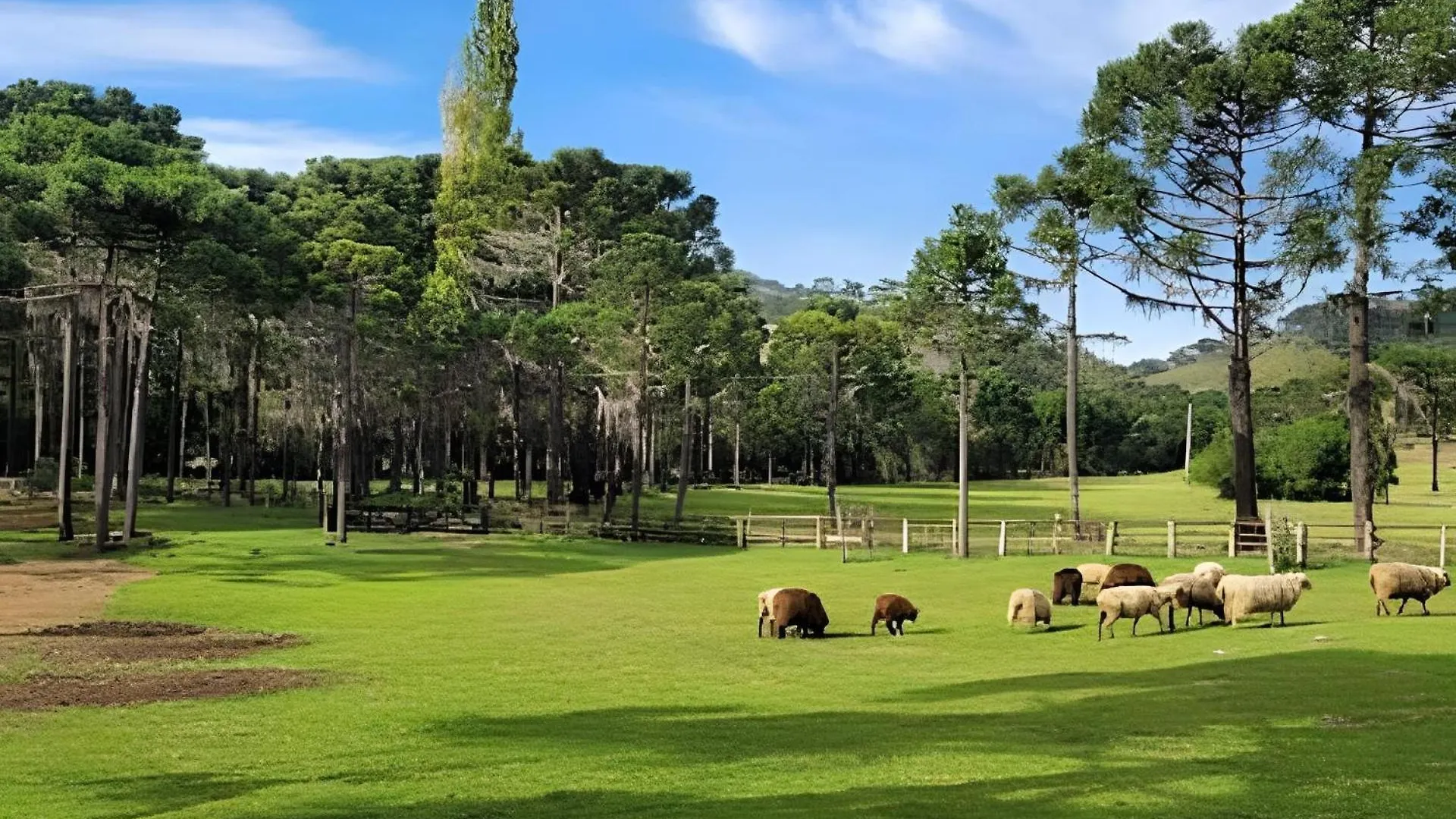 Cabana Pequeno Bosque Com Deck E Vista P/ O Rio São Joaquim Casa de Férias