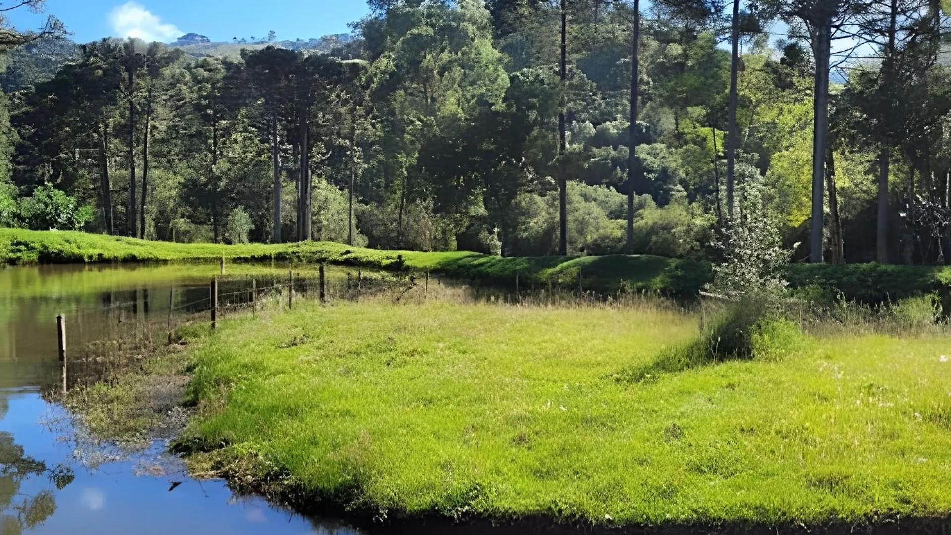 Cabana Pequeno Bosque Com Deck E Vista P/ O Rio São Joaquim Brasil