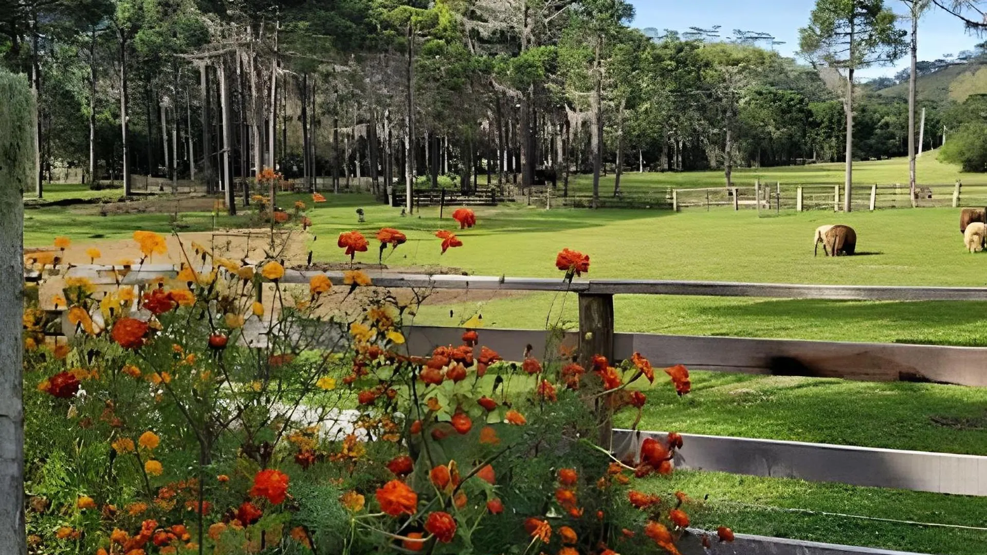 Cabana Pequeno Bosque Com Deck E Vista P/ O Rio São Joaquim Casa de Férias