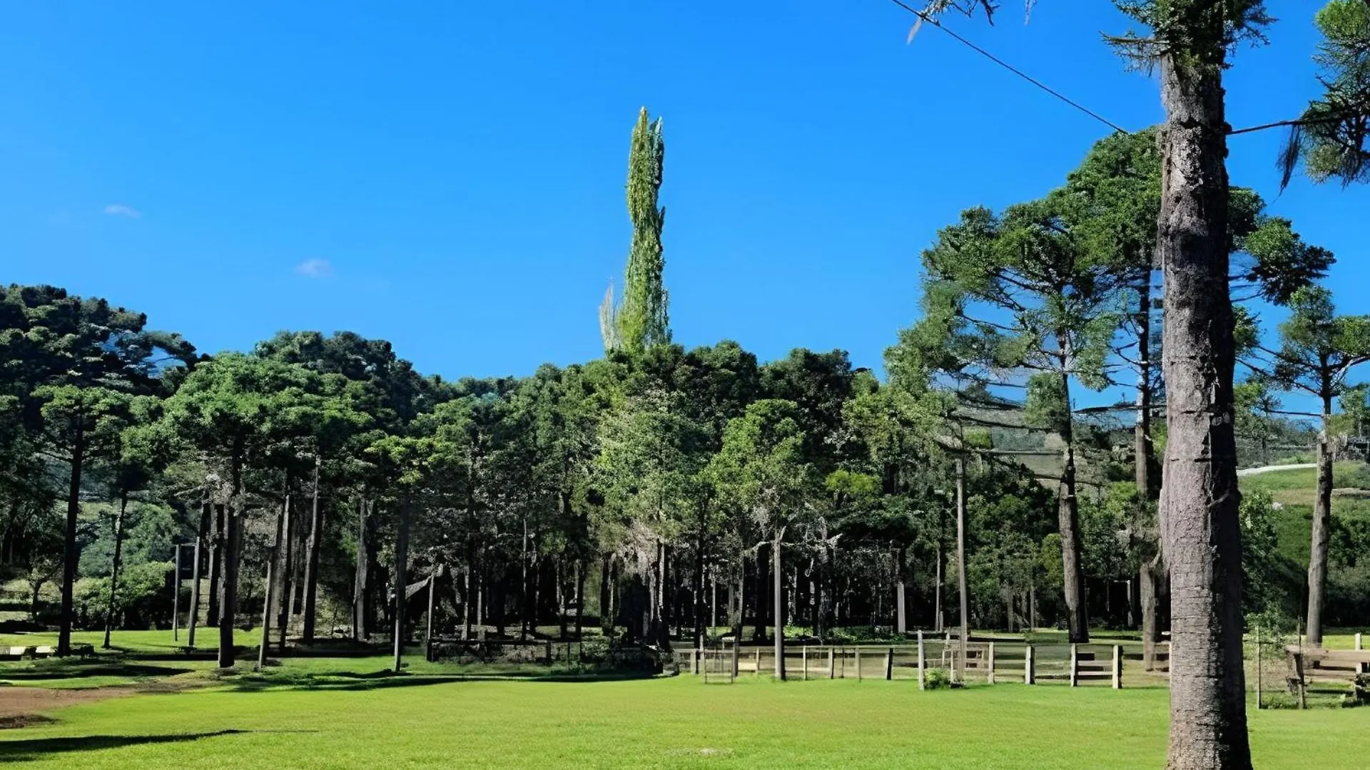 Casa de Férias Cabana Pequeno Bosque Com Deck E Vista P/ O Rio São Joaquim